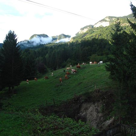 Holiday Home Bela โบฮินิสกา เบลา ภายนอก รูปภาพ